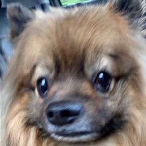 Meet your Posher, Natalie